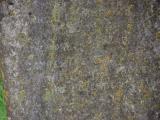 image of grave number 907458